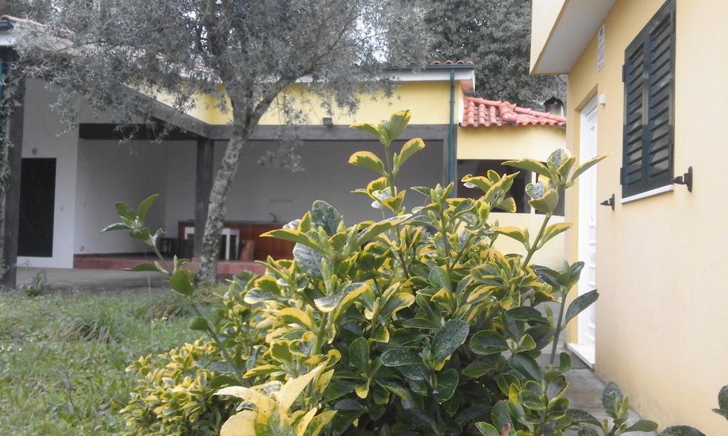 Casa Amarante Porto Vila Exterior foto